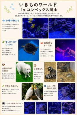080D5363-F899-4FAE-878D-A462F67DE55A.png